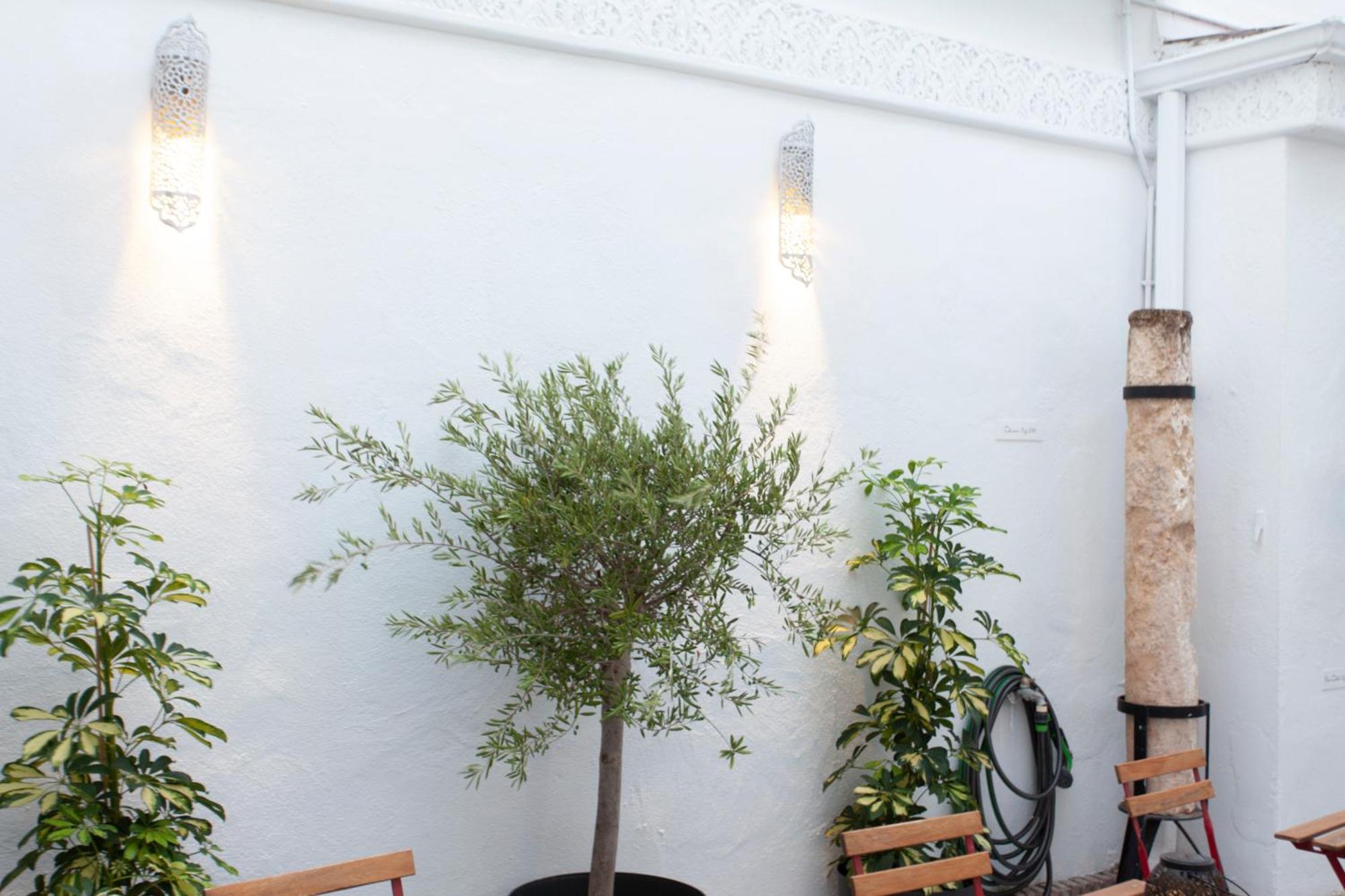 Altabib Riad Кордова Экстерьер фото